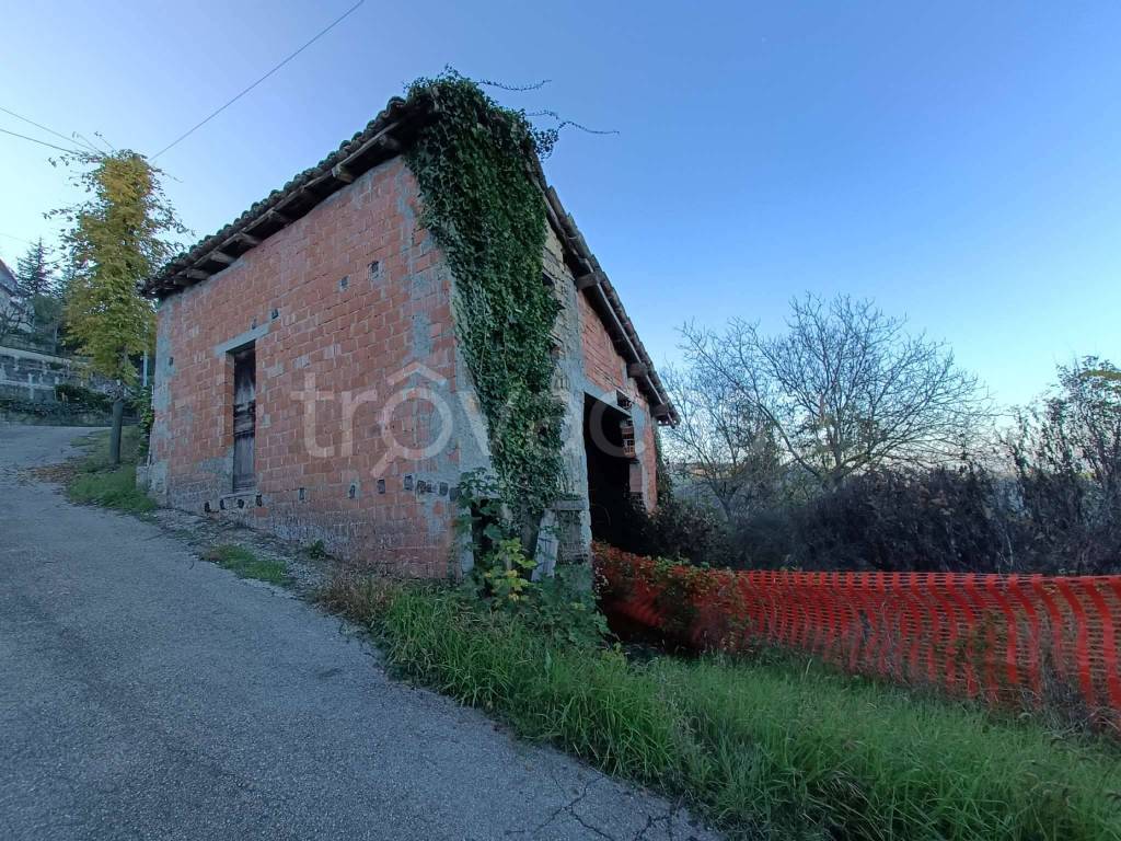 immagine annuncio 6 di 10