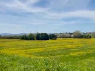 Terreno agricolo in affitto a prato via della macchiola