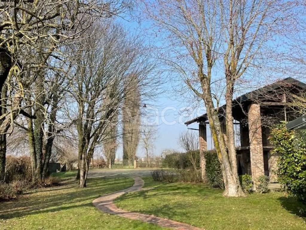 immagine annuncio 2 di 12