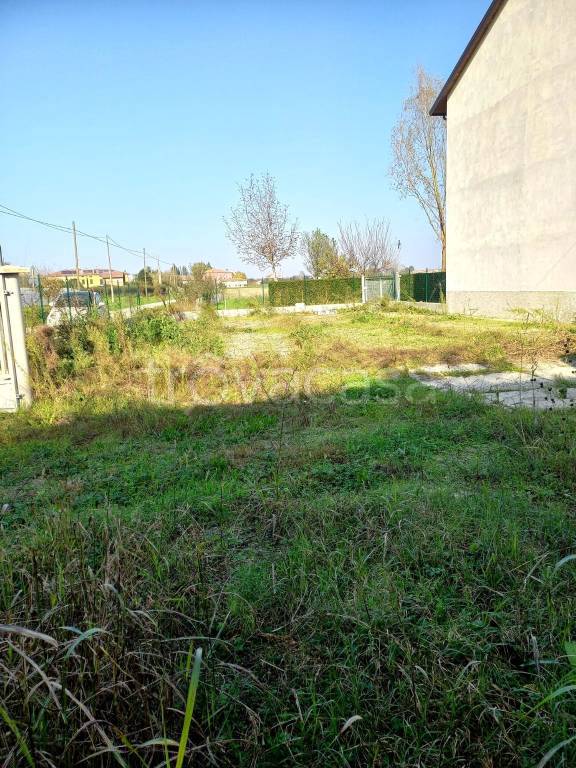 immagine annuncio 3 di 6