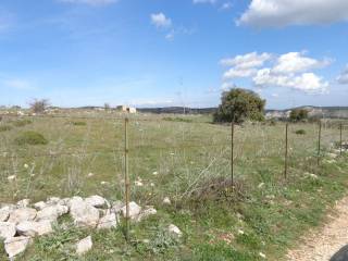 Terreno agricolo all'asta a sortino sr11