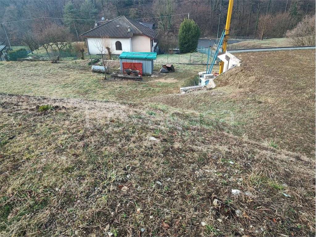 immagine annuncio 3 di 8