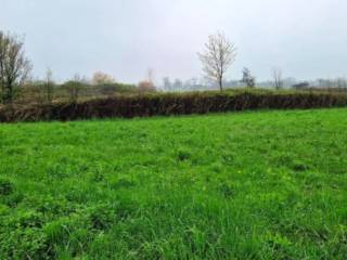 Terreno residenziale all'asta a zugliano via flora minotto