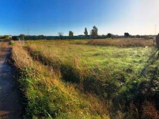 Terreno agricolo in affitto a fiumicino via della scafa