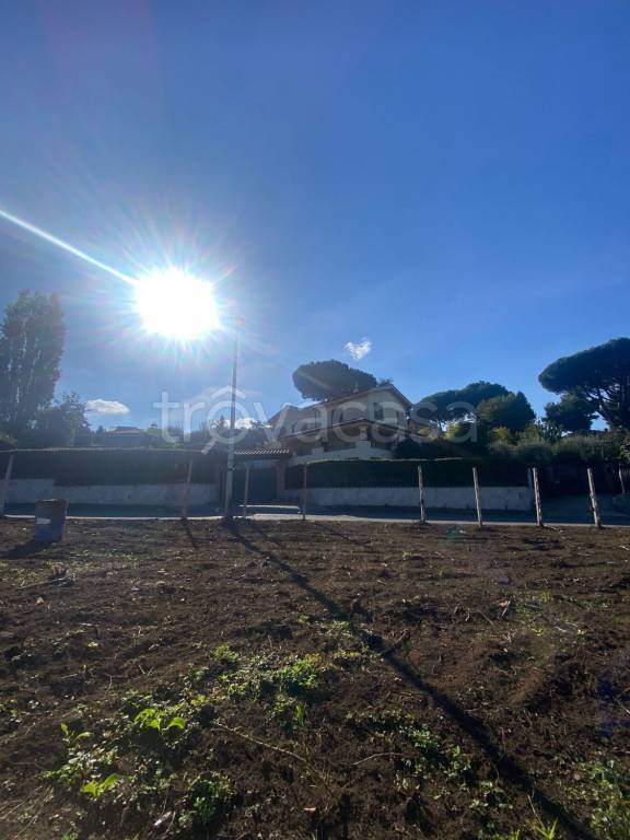 immagine annuncio 3 di 6