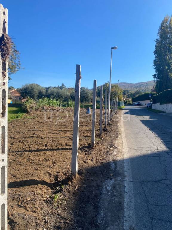 immagine annuncio 4 di 6