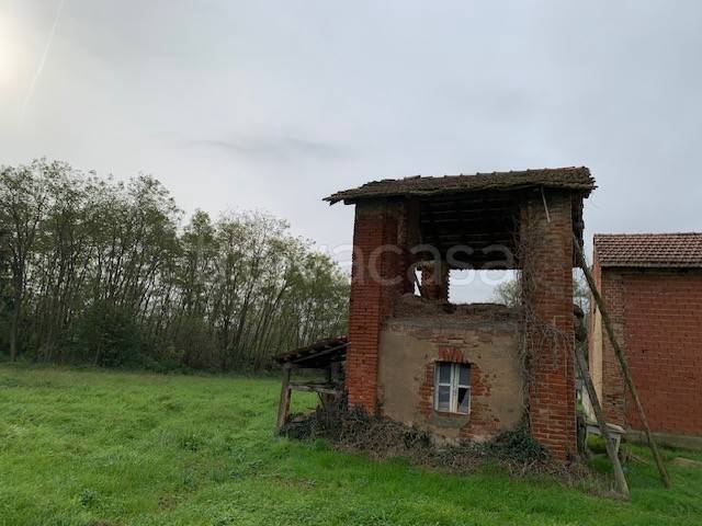 immagine annuncio 6 di 14