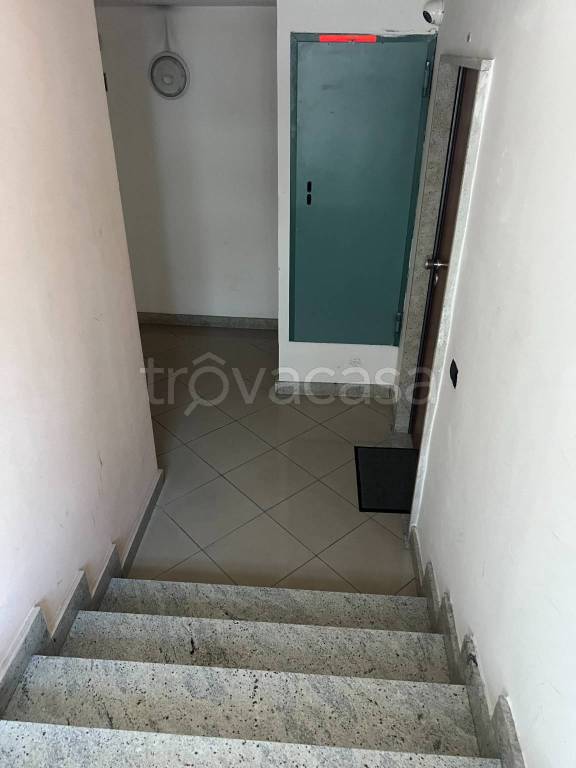 immagine annuncio 9 di 12