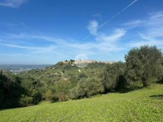 Terreno residenziale in vendita a magliano sabina vocabolo maonna del giglio