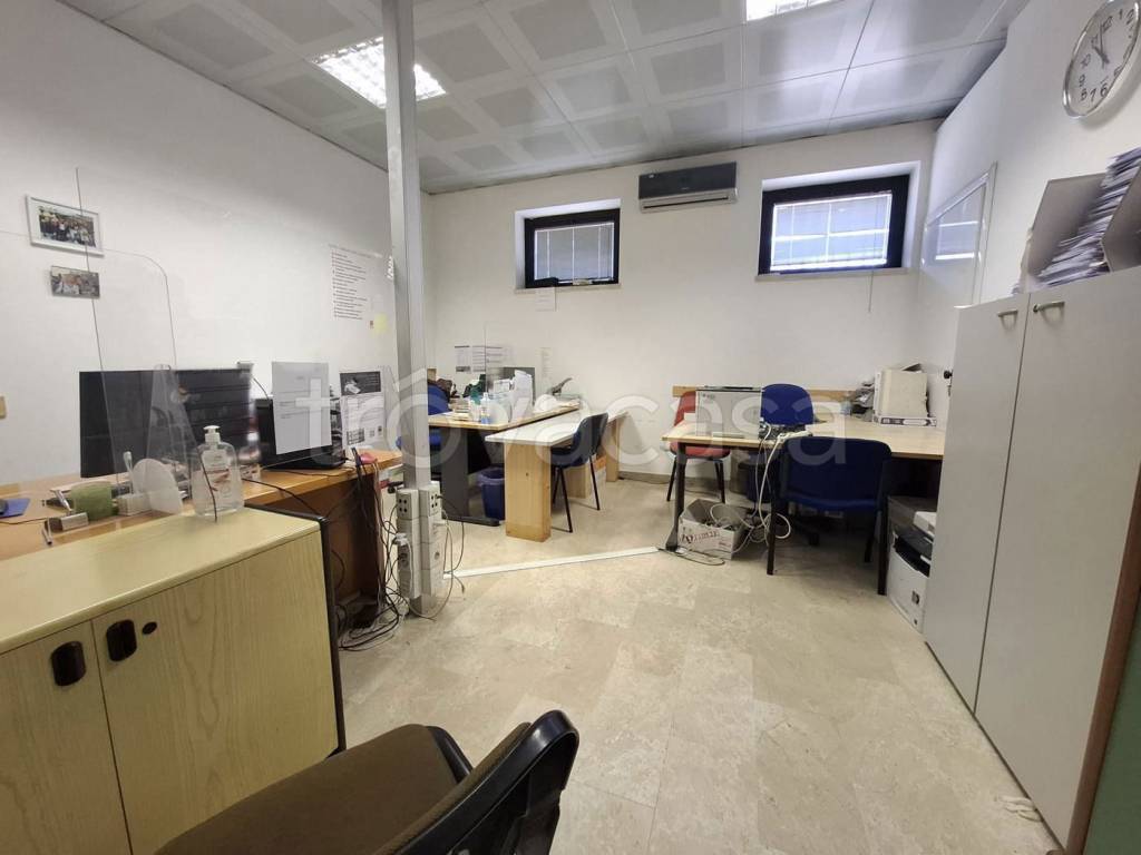 immagine annuncio 4 di 7