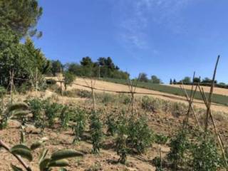 Terreno agricolo all'asta a macerata contrada cervare