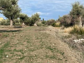 Terreno agricolo in vendita a trabia furitano