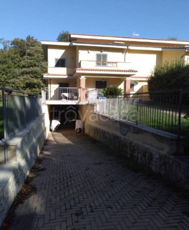 immagine annuncio 3 di 11