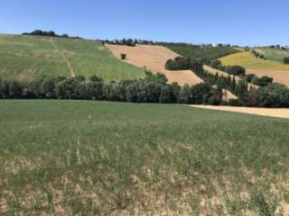 Terreno agricolo all'asta a macerata contrada cervare