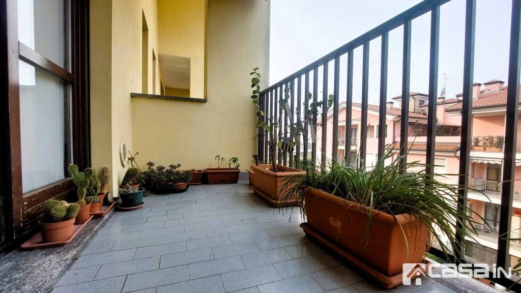 immagine annuncio 12 di 15