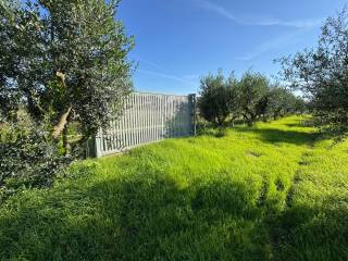 Terreno agricolo in vendita ad aprilia 