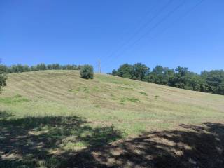 Terreno agricolo in vendita a fonte nuova 