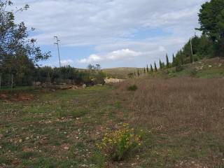 Terreno agricolo in vendita ad altofonte via rebuttone