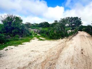 Terreno agricolo in vendita a sant'antonio di gallura loc. caldosu