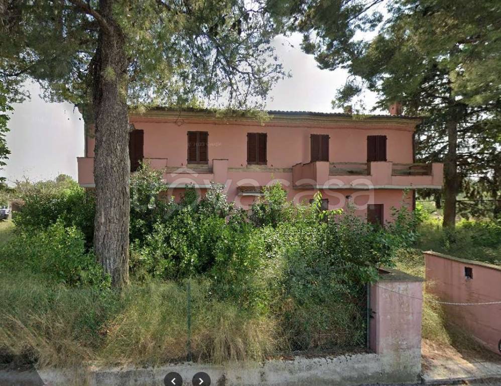immagine annuncio 4 di 7