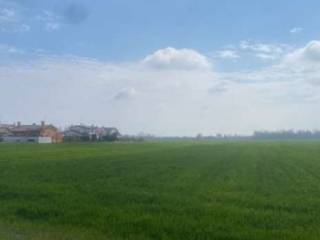 Terreno agricolo all'asta a quarto d'altino via primo maggio