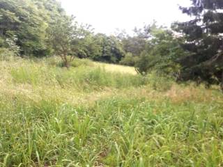 Terreno agricolo all'asta a brescia via roberto ardigò