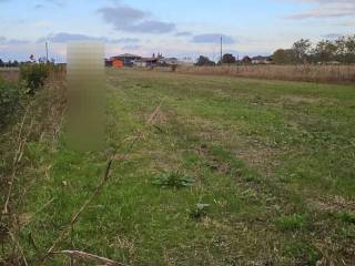 Terreno agricolo all'asta a codevigo via cavaizza