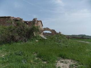 Azienda agricola in vendita a radicofani 