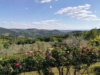 Appartamento in in affitto da privato a vaglia via di basciano, 520