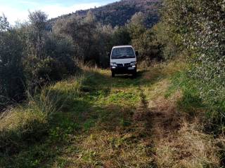 Terreno agricolo in vendita ad andora strada comunale conna