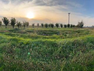 Terreno agricolo in vendita a pavia di udine 