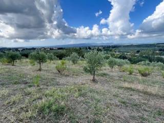 Terreno agricolo in vendita a massa marittima strada statale 439 sarzanese valdera