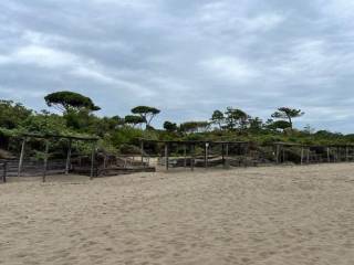 Villa in vendita a castiglione della pescaia 