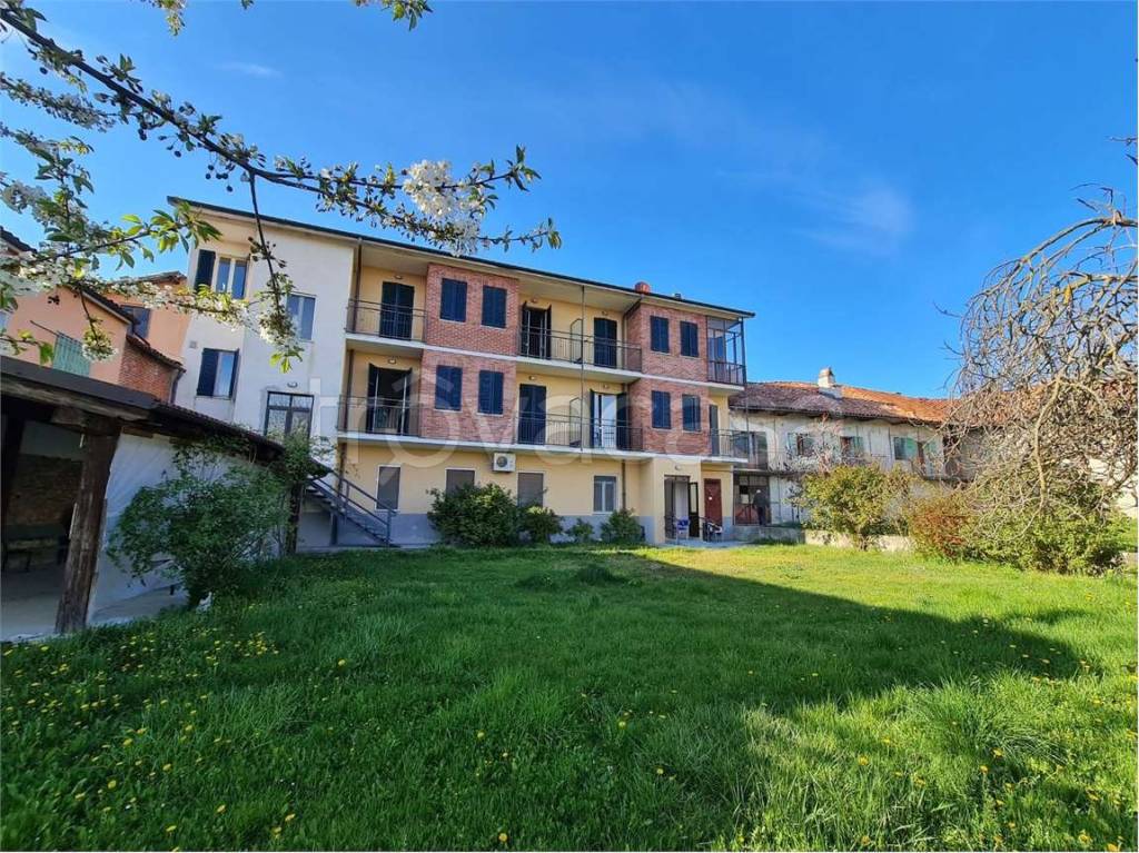 immagine annuncio 12 di 15