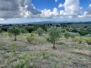 Terreno agricolo in vendita a massa marittima strada statale 439 sarzanese valdera