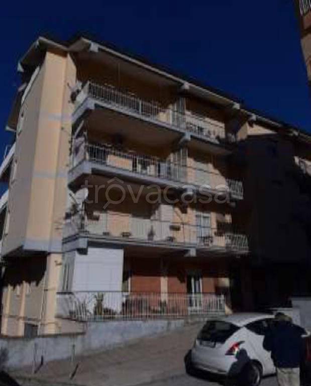 immagine annuncio 5 di 14