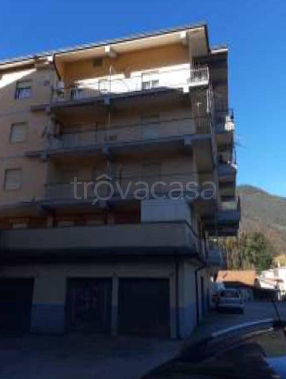 immagine annuncio 6 di 14