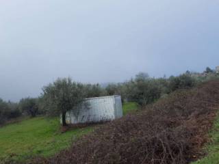 Terreno agricolo all'asta a gualdo cattaneo localita pozzo