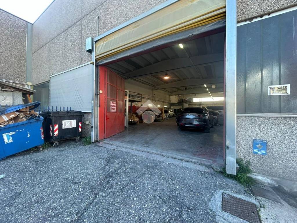 immagine annuncio 1 di 15