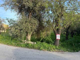 Terreno commerciale in vendita ad avola contrada limarri, .