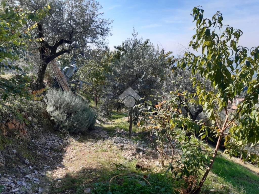 immagine annuncio 2 di 9