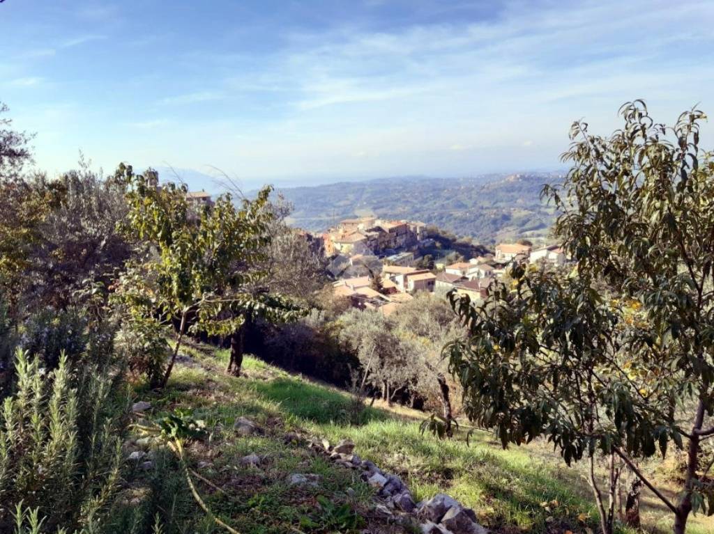 immagine annuncio 4 di 9