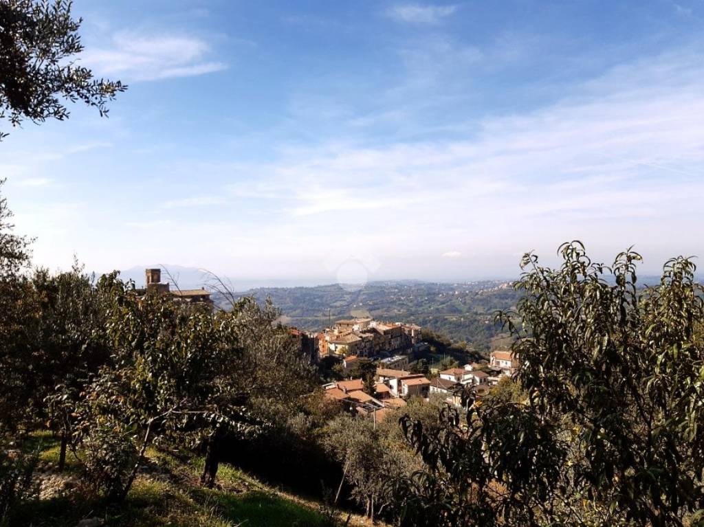 immagine annuncio 6 di 9