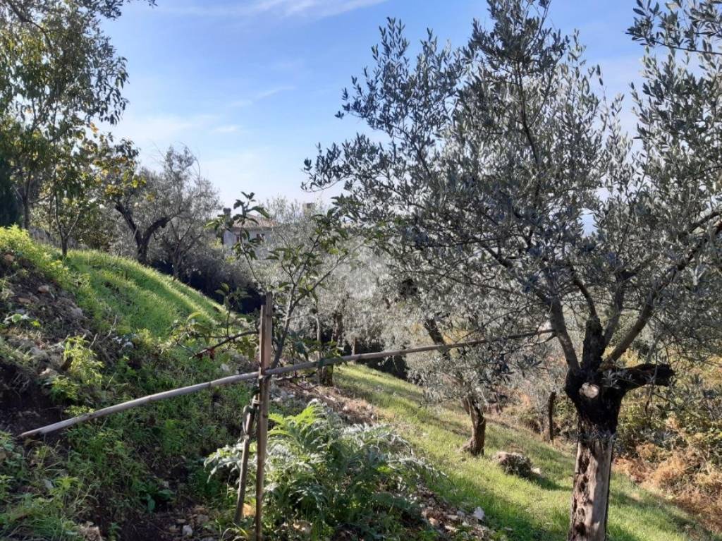 immagine annuncio 7 di 9