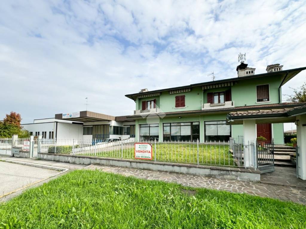immagine annuncio 1 di 15