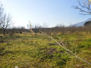 Terreno agricolo in vendita a san gennaro vesuviano via napoli, 410