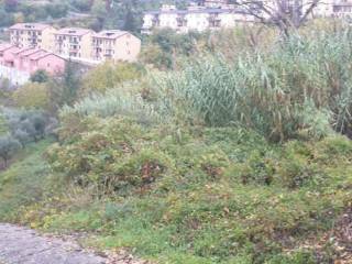 Terreno edificabile all'asta ad anagni via ciavattino