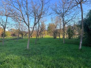 Terreno residenziale in vendita ad arezzo località ponte a chiani