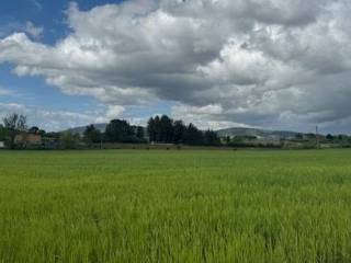 Terreno agricolo in vendita a perugia strada castel del piano - pila