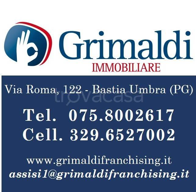 immagine annuncio 7 di 13
